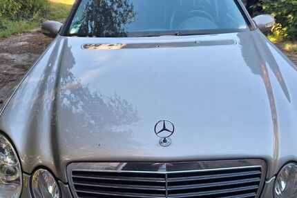 Mercedes-Benz 240 241.303 km 2.500 &euro; Gülzow 21483