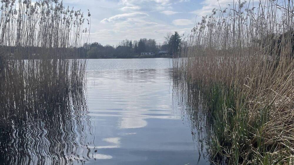 Grundstück Grünheide Ortsteil Kagel Kagel - 85.000&euro; | Angebot:26188616