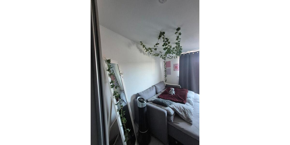 Etagenwohnung Greifswald - 1 Zimmer, 23 m&sup2;, 392&euro; | Angebot:26404678