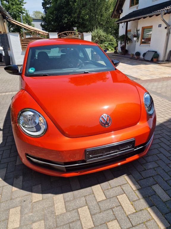 Beetle
