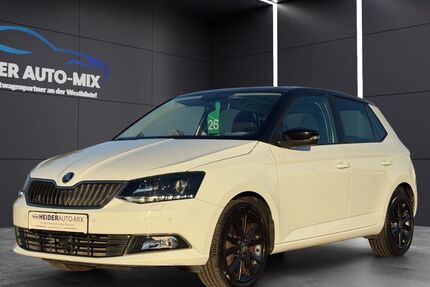 Skoda Fabia 64.900 km 13.999 € Heide 25746