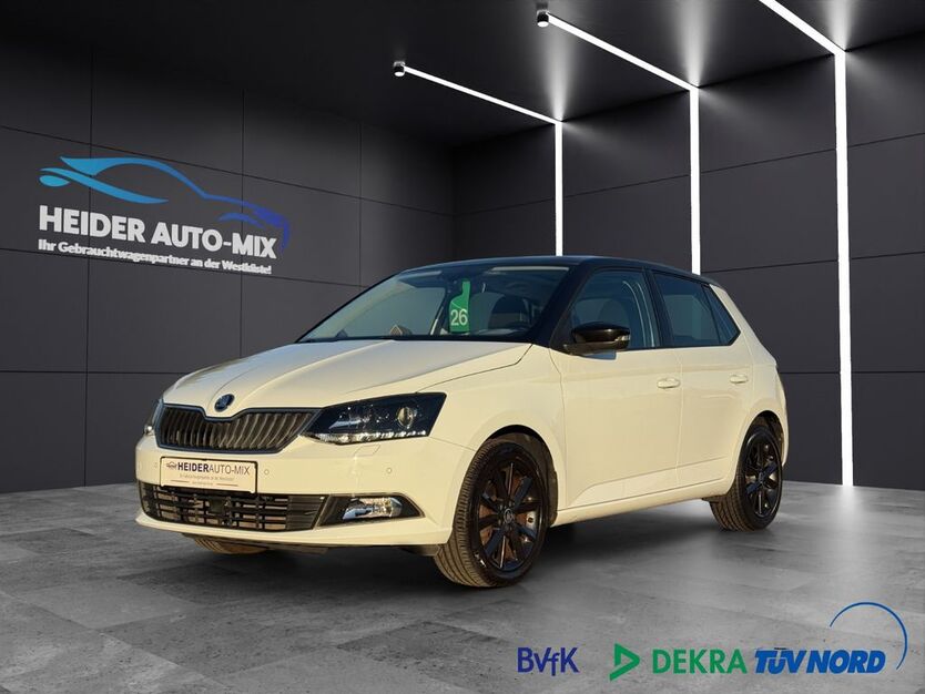 Skoda Fabia 64.900 km 13.999 € Heide 25746