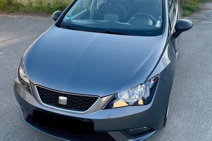 Seat Ibiza 168.220 km 4.400 &euro; Oberdolling 85129