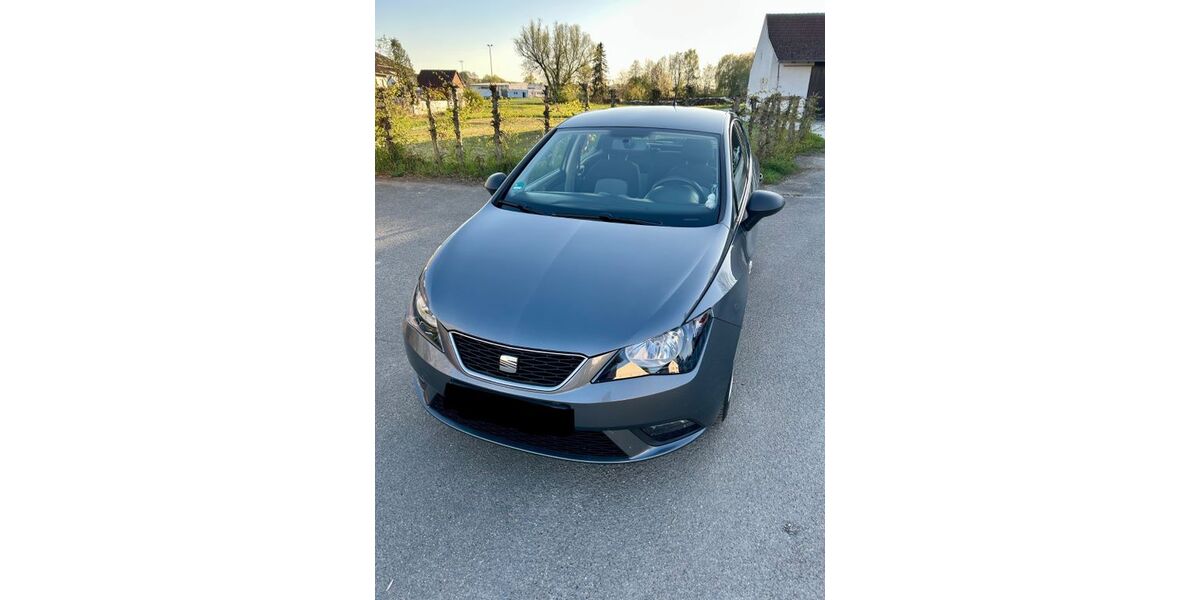 Seat Ibiza 168.220 km 4.400 &euro; Oberdolling 85129