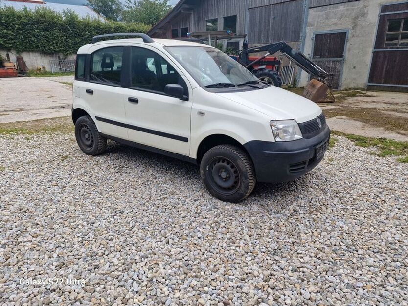 Panda