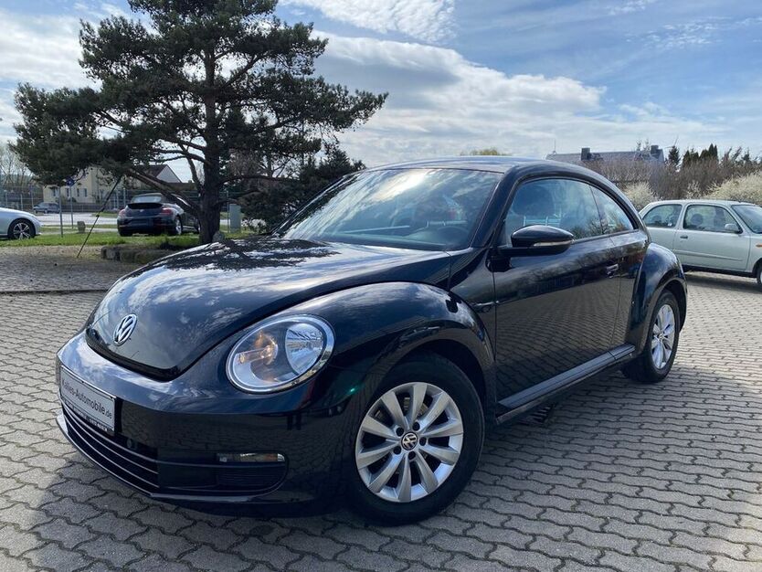 Beetle
