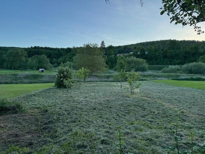 Provisionsfrei - Einzigartiger Vierseithof an der Weser zimmer