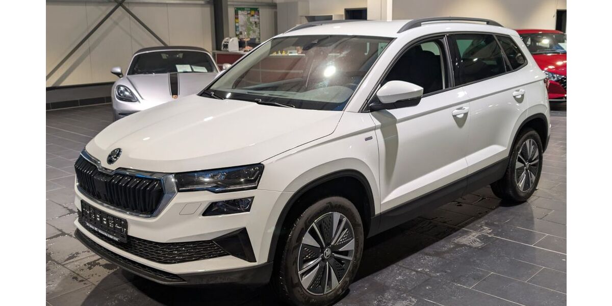 Skoda Karoq 119.000 km 22.900 &euro; Weinheim 69469