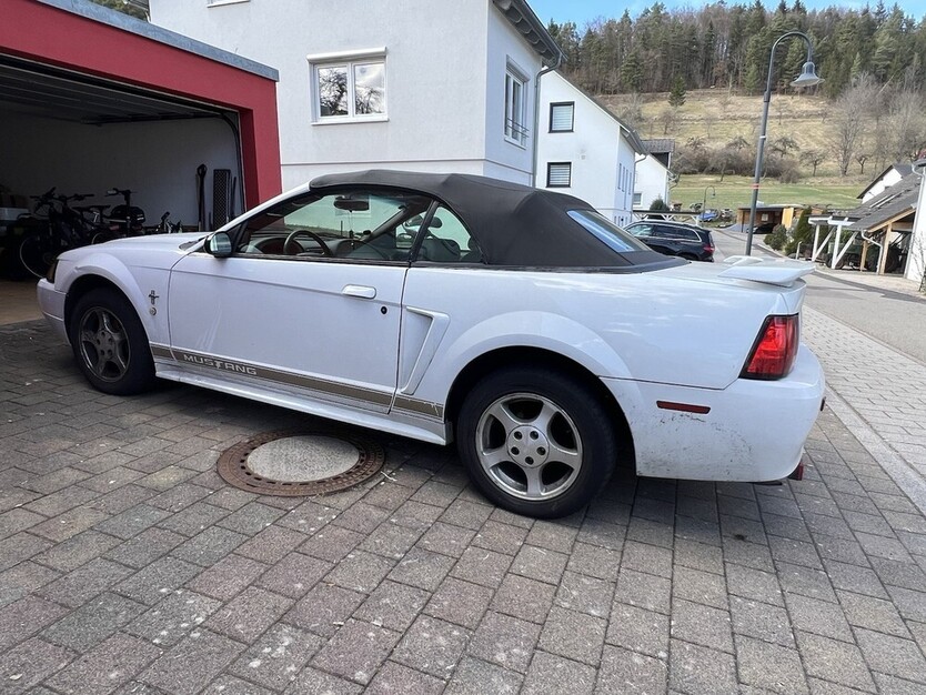 Mustang