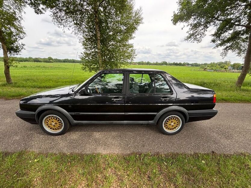 Jetta