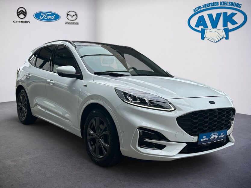 Kuga