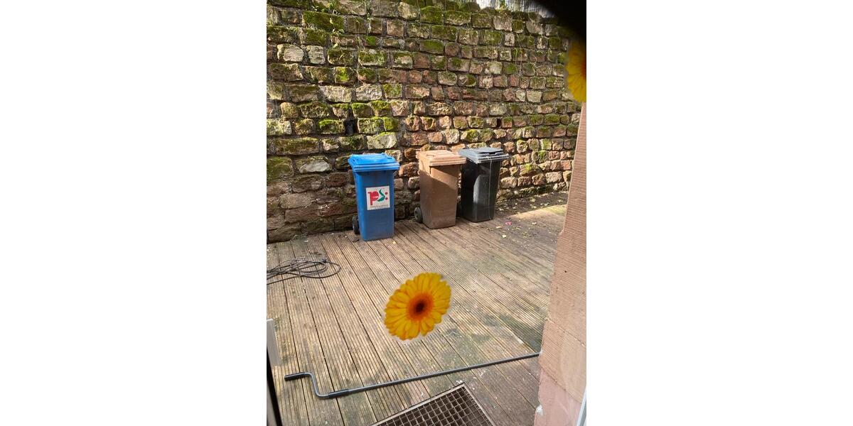 Reihenhaus Pirmasens - 6 Zimmer, 181 m&sup2;, 1.150&euro; | Angebot:23133255