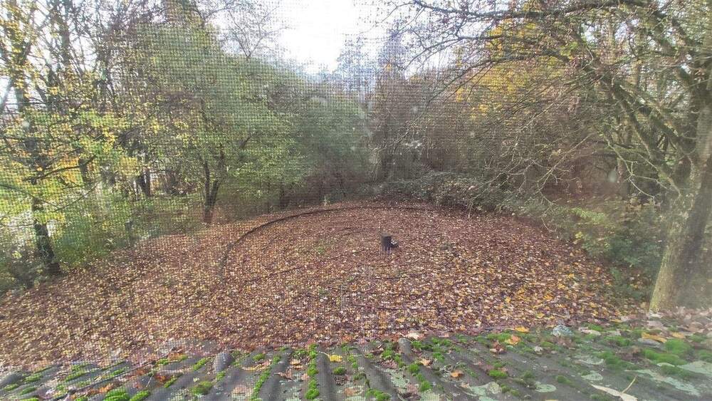 Mehrfamilienhaus, Wohnhaus Rees Grietherbusch - 1 Zimmer, 466 m&sup2;, 114.000&euro; | Angebot:25746881