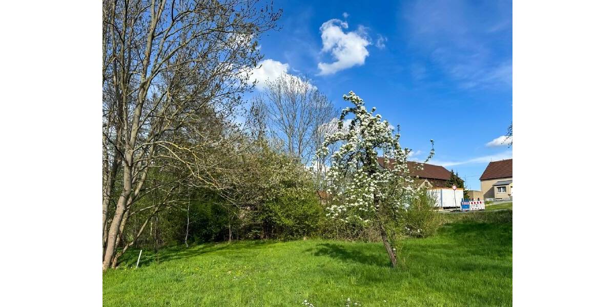 Grundstück Rosenbach Herwigsdorf - 36.000&euro; | Angebot:25675897