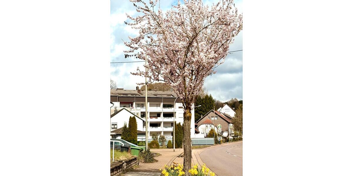 Etagenwohnung Völklingen - 2 Zimmer, 62 m&sup2;, 400&euro; | Angebot:26649522
