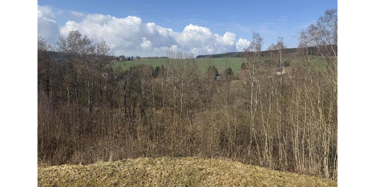 Etagenwohnung Markneukirchen - 2 Zimmer, 49 m&sup2;, 295&euro; | Angebot:26074499