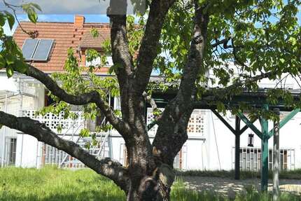 Haus Homburg - 7 Zimmer, 140 m&sup2;, 319.000&euro; | Angebot:26378119