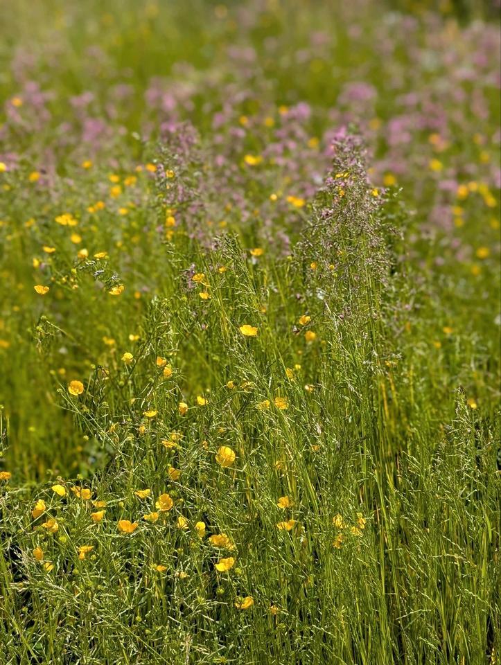 4 Zimmer Wohnung zzgl. Hobbyraum - neuwertig zimmer