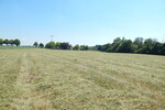 Landwirtschaftlicher Grund als Geldanlage - in 84529 TittmoningSüdbayern, Nähe Leitgeringer See - Grundstück Tittmoning Tittmoning | Angebot:26731085