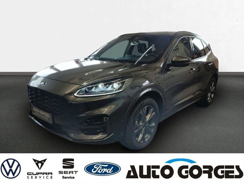 Kuga