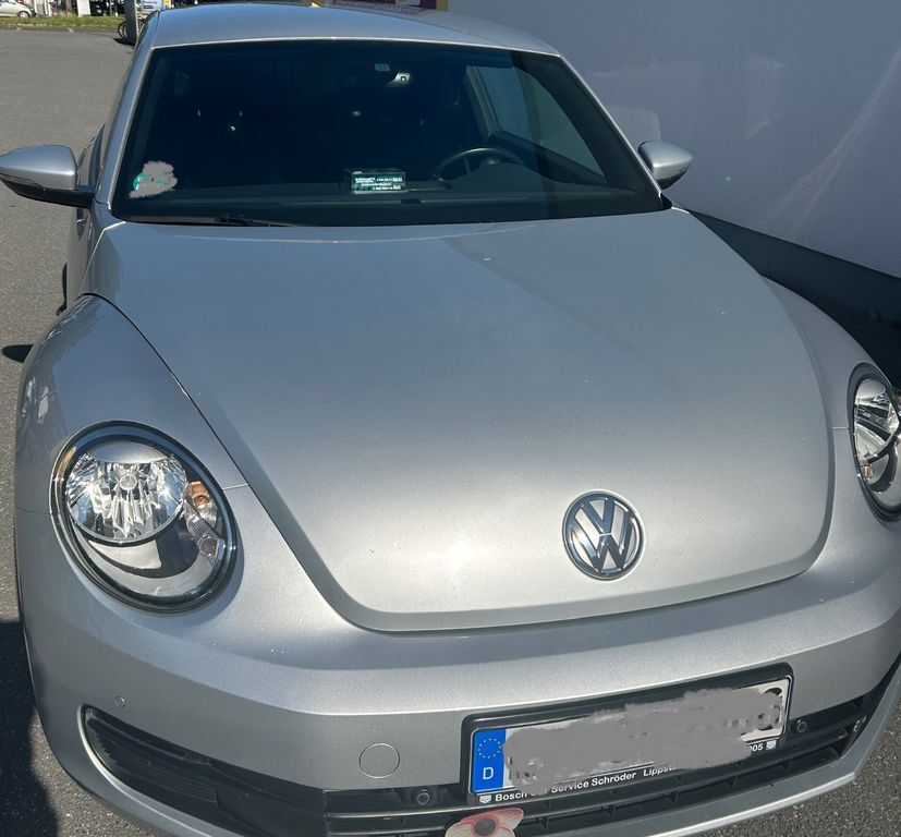 Beetle