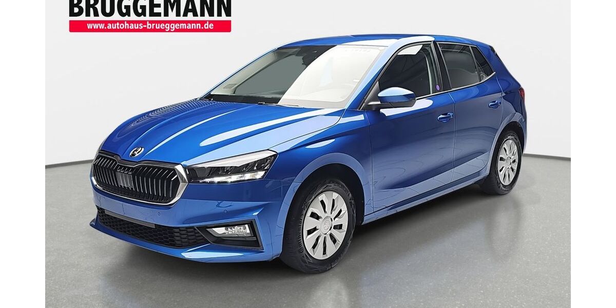 Skoda Fabia 7.130 km 21.490 &euro; Wietmarschen-Lohne 49835