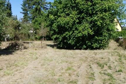 Baugrundstücke in Jürgenshagen zimmer