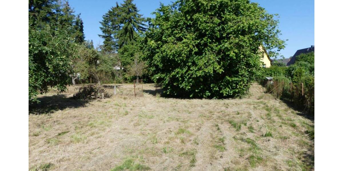 Baugrundstücke in Jürgenshagen zimmer