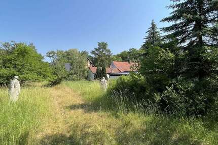 Grundstück Kemberg - 480.000&euro; | Angebot:24343069