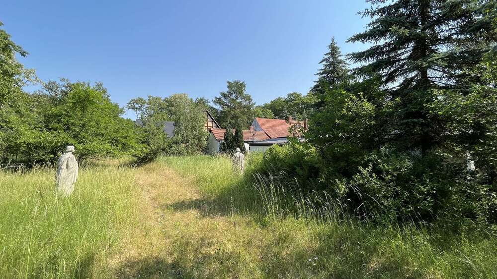 Grundstück Kemberg - 480.000&euro; | Angebot:24343069
