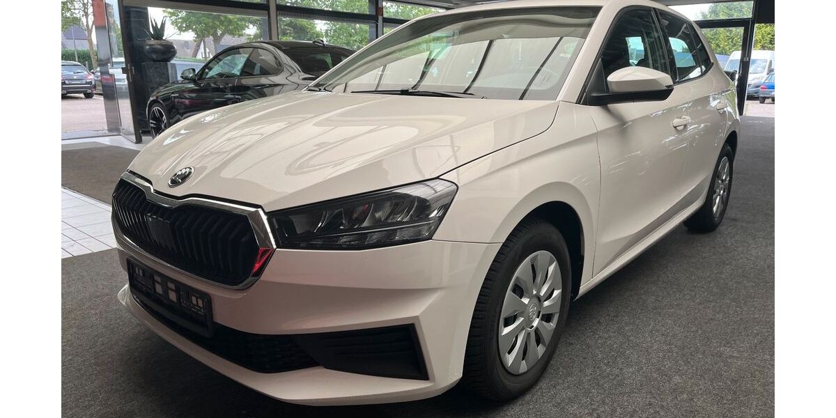 Skoda Fabia 48.000 km 13.950 &euro; Minden 32425