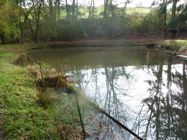 Teichanwesen mitten im Wald Südwestpfalz - Grundstück Biedershausen | Angebot:19798978