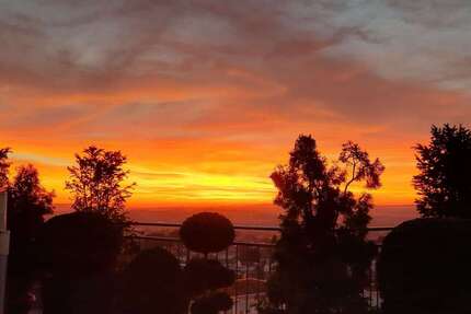 Wohnung zum Kaufen in Weingarten 1.150.000 € 193.48 m² 5.5 zimmer