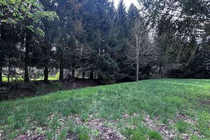 Grundstück zu verkaufen in Bad Schmiedeberg 40.000 € 1109 m²