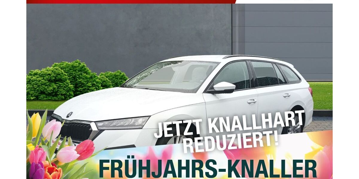 Skoda Octavia 125.734 km 17.890 &euro; Meiningen 98617