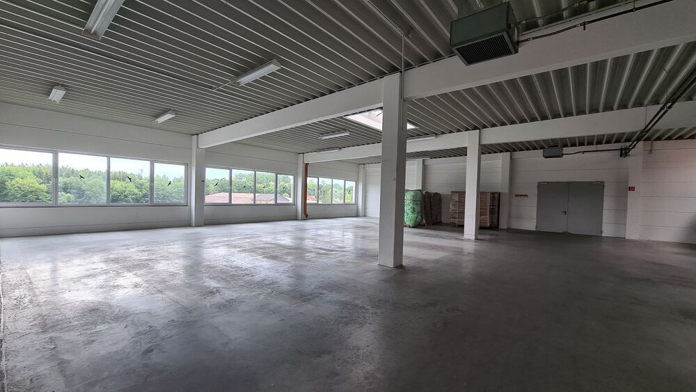Provisionsfreie Gewerbefläche nahe Hamburg: helle Lager-, Produktions- & Bürohalle 450–1.100 m² - Gewerbeobjekt Schwarzenbek Rülau | Angebot:26625296