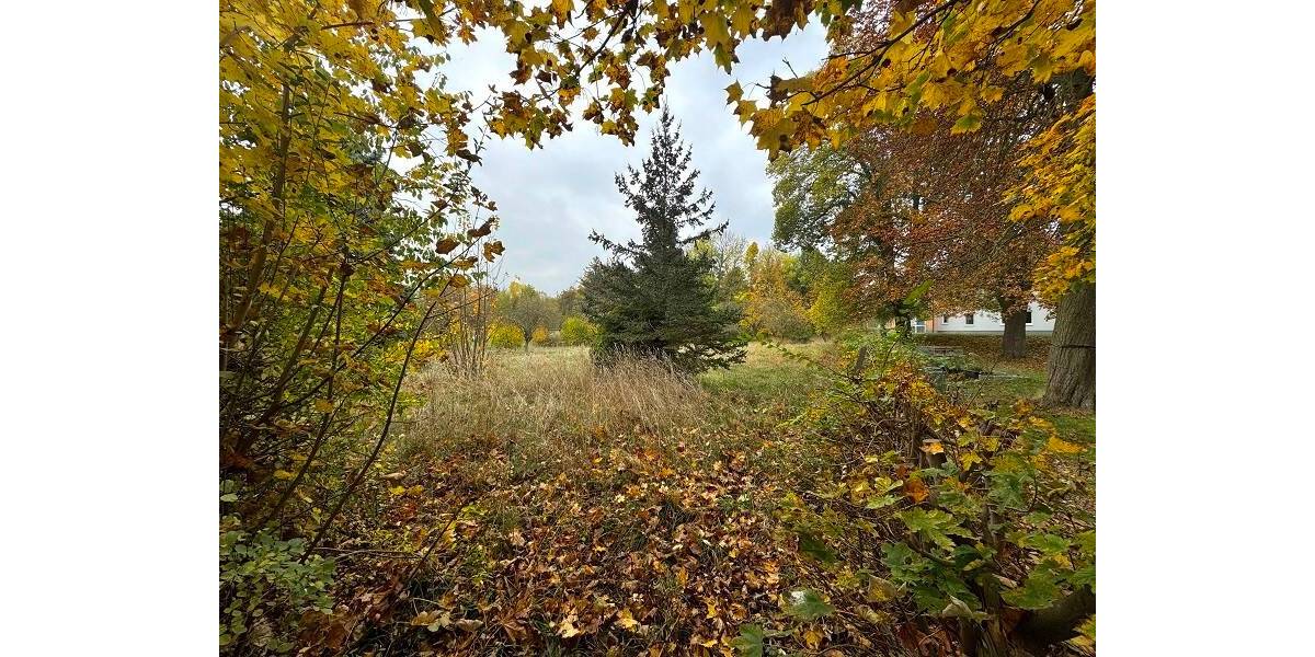 Grundstück Waltershausen - 69.050&euro; | Angebot:25729826