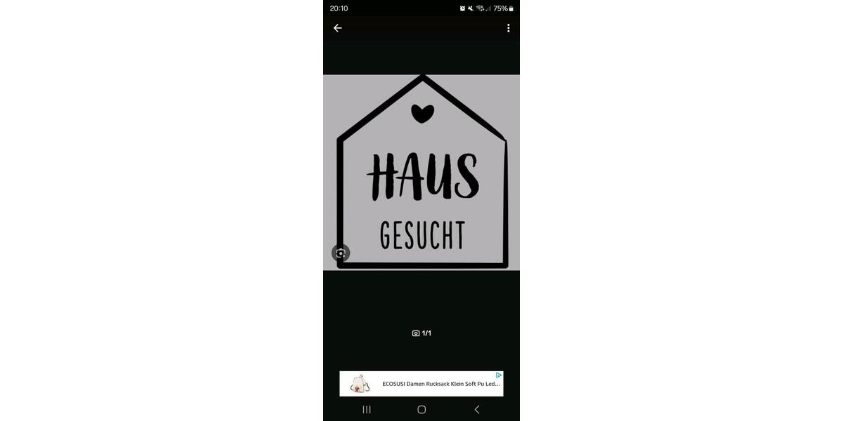 Haus oder Wohnung 4 zimmer