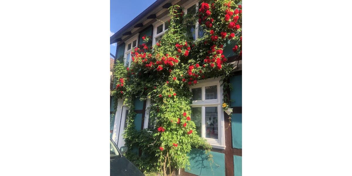 Stadthaus in Wendland 4 zimmer