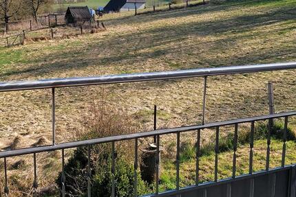 Schöne helle 2 Zi und Balkon mit unverbauter Aussicht