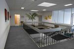 Büro 36 qm - BüroflächenCoWorking - große Fenster, hell