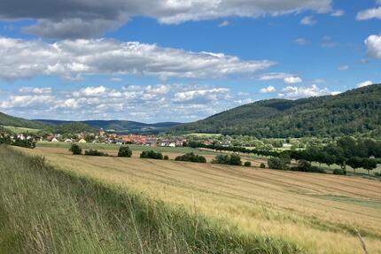 Haus Bad Wildungen - 8 Zimmer, 235 m&sup2;, 369.000&euro; | Angebot:24474666