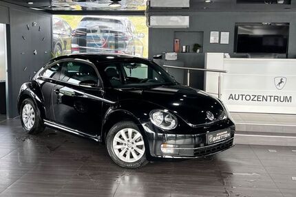 VW Beetle