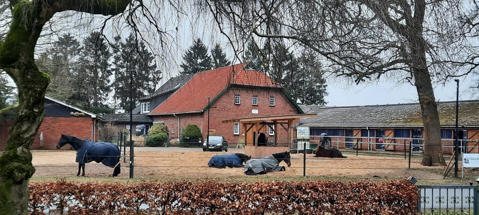 Einfamilienhaus Beverstedt - 795.000&euro; | Angebot:26995766