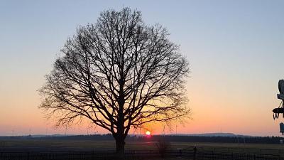 AIR BNB, VERMIETUNG, RESTAURANT, BESTLAGE - Gewerbeobjekt Dahlem | Angebot:26199698