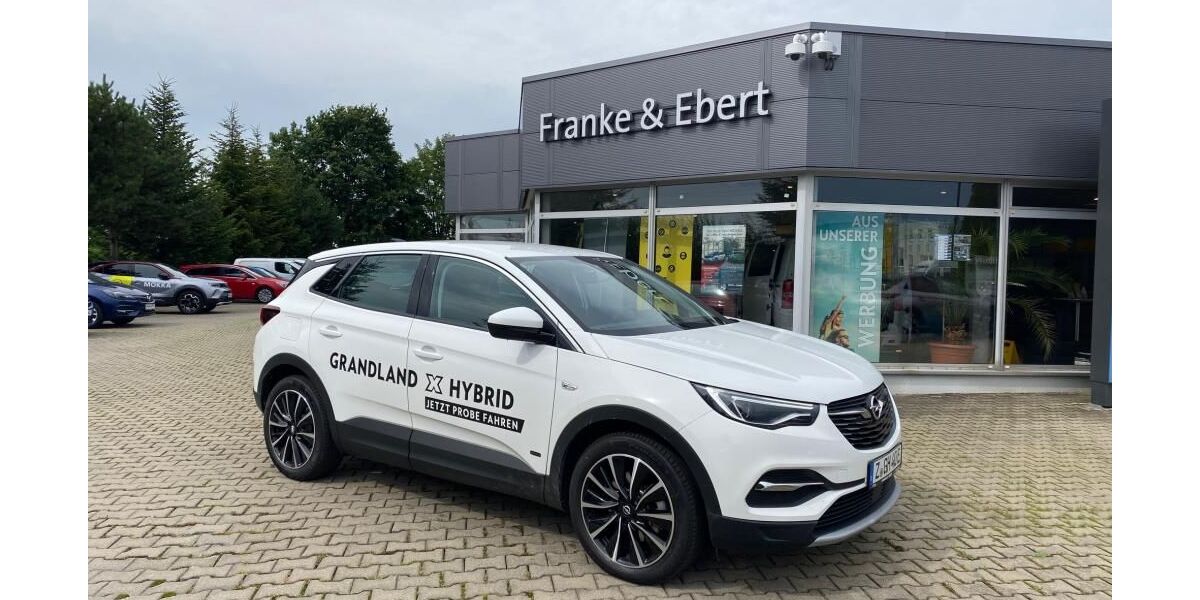Opel Grandland (X) 31.500 km 26.590 € Reinsdorf 08141