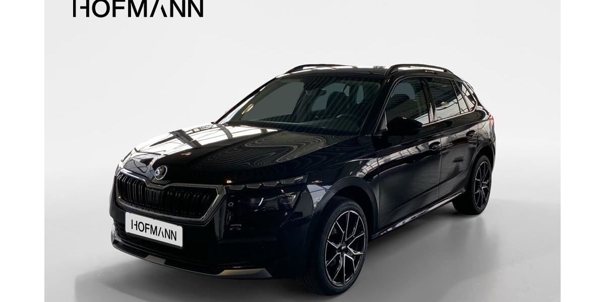 Skoda Kamiq 96.700 km 15.419 &euro; Abensberg 93326