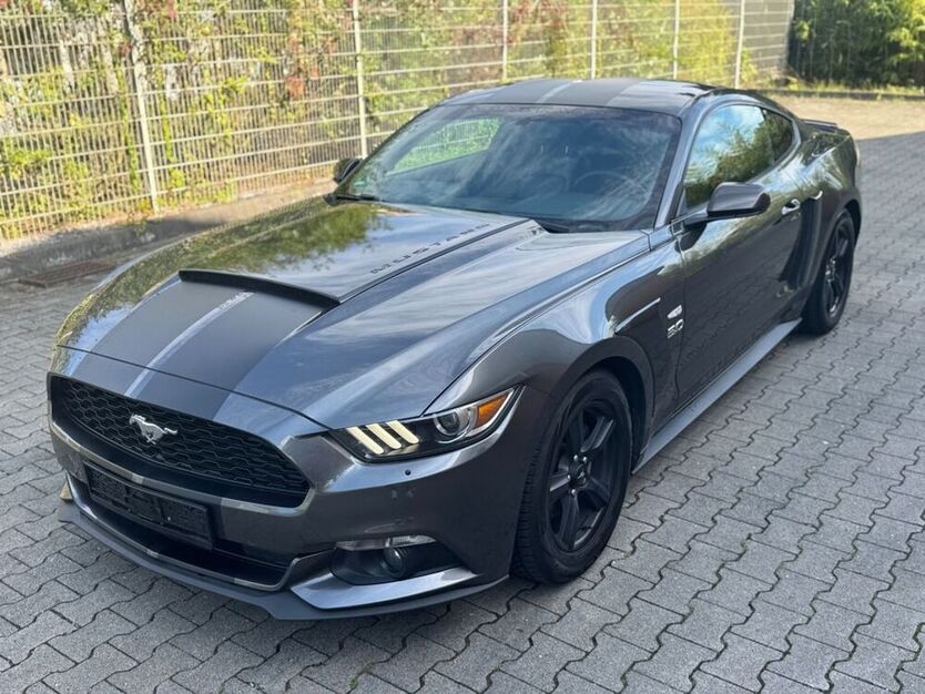 Mustang
