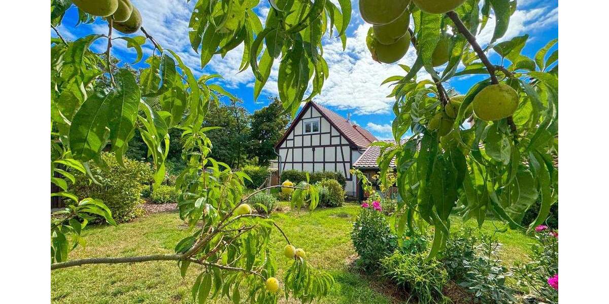 Mehrfamilienhaus, Wohnhaus Kalbe (Milde) Altmersleben - 6 Zimmer, 194 m&sup2;, 148.000&euro; | Angebot:25880920