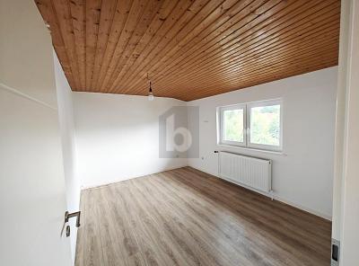 IHRE BESSERE HÄLFTE MIT 2 WOHNEINHEITEN - Doppelhaushälfte Steinburg | Angebot:27269569